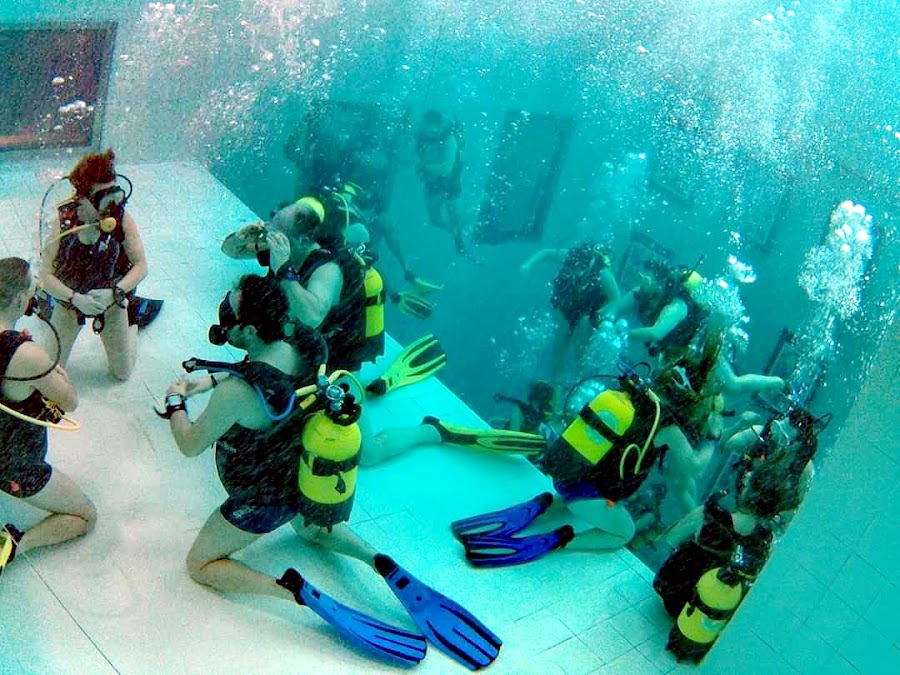 Nemo 33