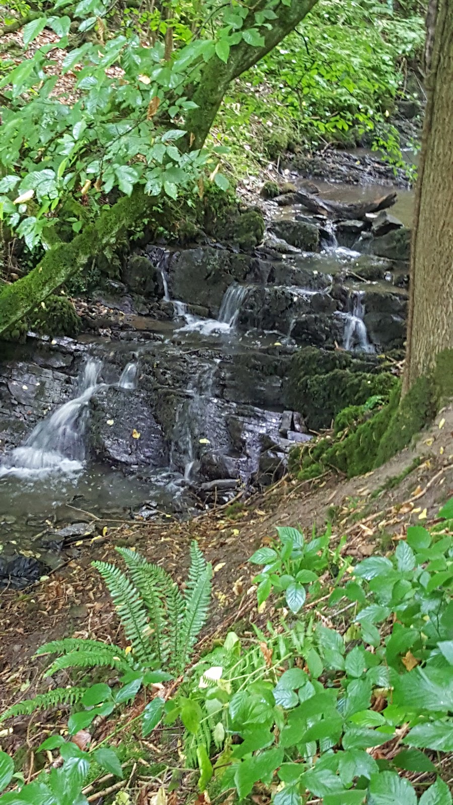 Bassin "cascade"