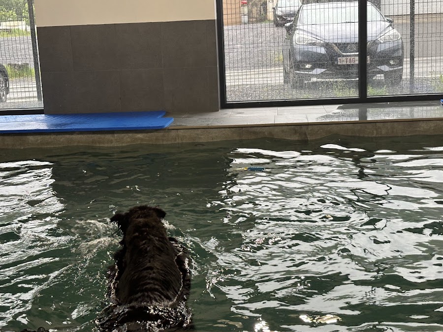 Piscine d'Aywaille
