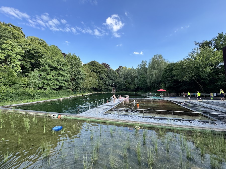 Zwemvijver Boekenberg