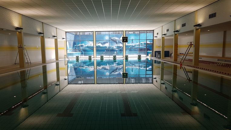 Stedelijk Zwembad 't Zeepaardje
