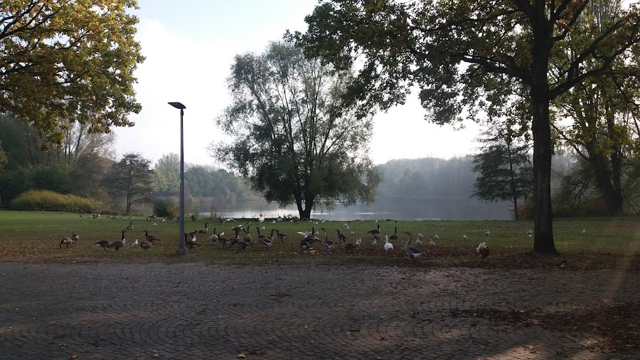 Zwembad Breeven