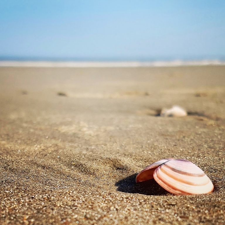 Familiemiddag in Bredene — Workshops in Bredene