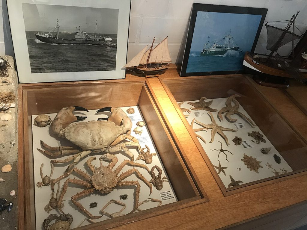 Uit Bredene