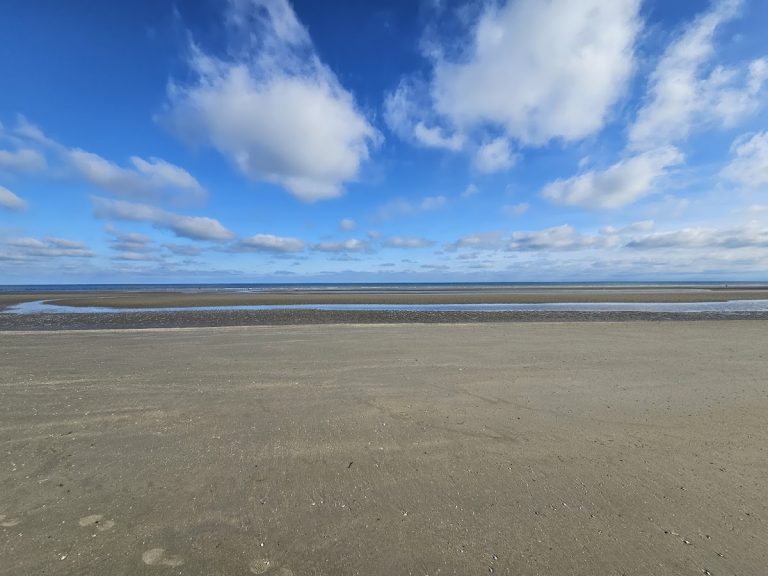 Familiemiddag in De Panne — Workshops in De Panne