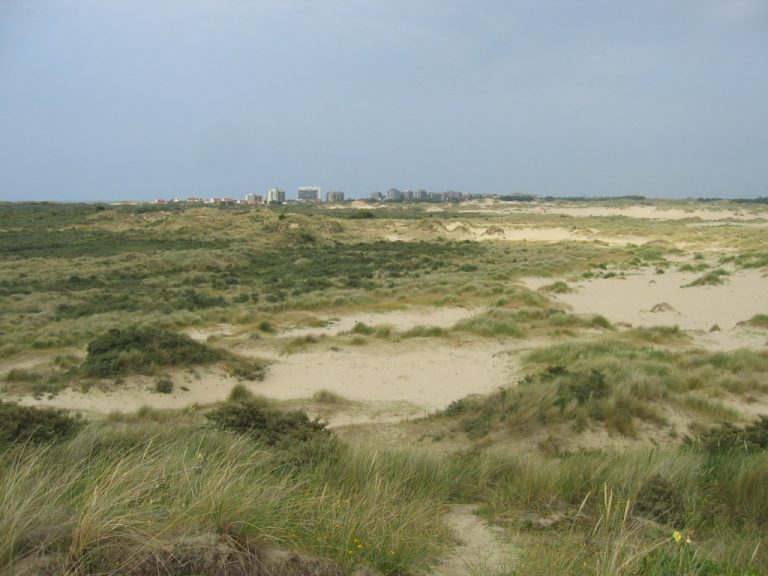 Wandeling in Natuurreservaat De Westhoek — Natuur in De Panne