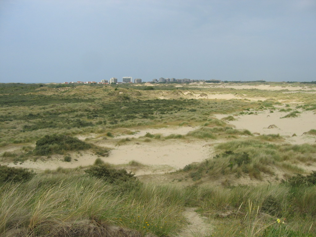 Uit De Panne