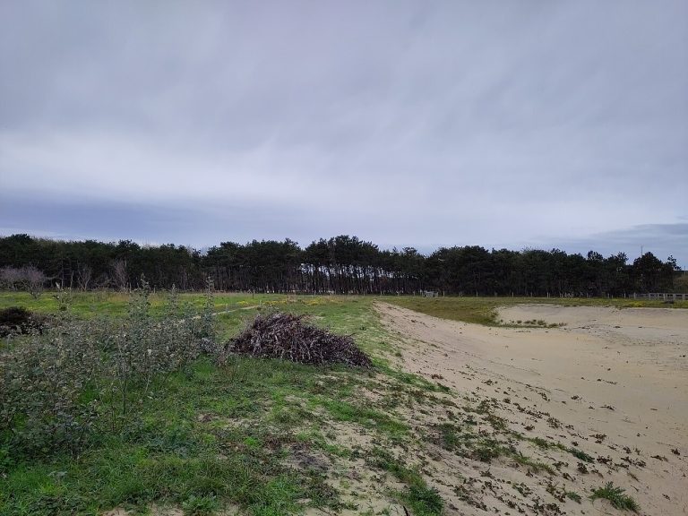 Wandeling in Natuurgebied De Zandpanne — Natuur in Wenduine